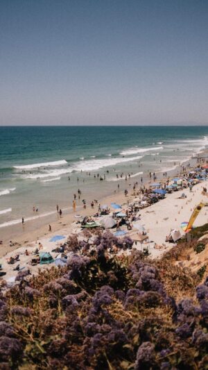 Camille D. Sperandio Instagram - SAN DIEGO, mon itinéraire. 👇🏼 [Save ce post pour ton prochain trip]

Grâce à @aircanada qui offre un grand nombre de vols pour la Californie, j’ai pu m’envoler vers San Diego pour découvrir cette région magnifique. Voici donc mon itinéraire :
🛫 vol sans escale Mtl - San Diego @aircanada
🛌 j’ai booké mon séjour au @intercontinentalsd grâce à mes points @aeroplan (et même ma location d’auto!)
🌵Balboa Park et le Cactus Garden
🦭 La Jolla Cove
🌸 Torrey Pines Natural Reserve
☕️ Communal Café
🍕Seneca Trattoria (situé au rooftop de l’Intercontinental)
🚴🏼‍♀️ se louer un B Cycle et découvrir Encinitas
🌮 Old Town San Diego
📽️ Rooftop Cinema Club
🏄🏼‍♀️ Swami’s Beach + Grandview surf Beach
🏝️ Fiesta Island / Mission Beach
🌞 Sunset Cliffs Natural Park
 
Bon voyage!
@visitcalifornia #pub