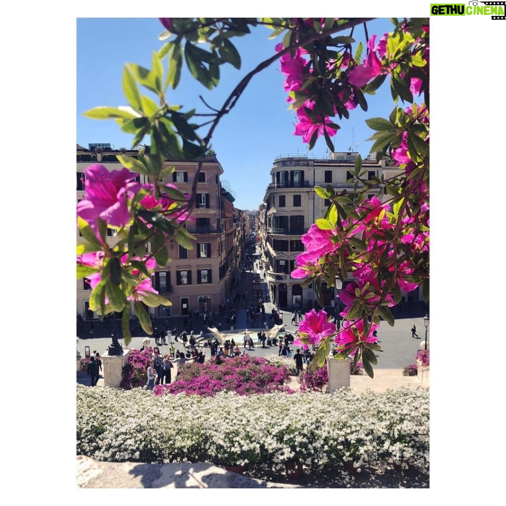 Cara Theobold Instagram - #Rome #is #pretty #nice 💞 Rome, Italy
