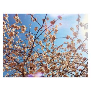 Cara Theobold Instagram - Morning all 💙