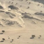 Carlos Sainz Jr. Instagram - We'll never forget this @dakarrally 💫
