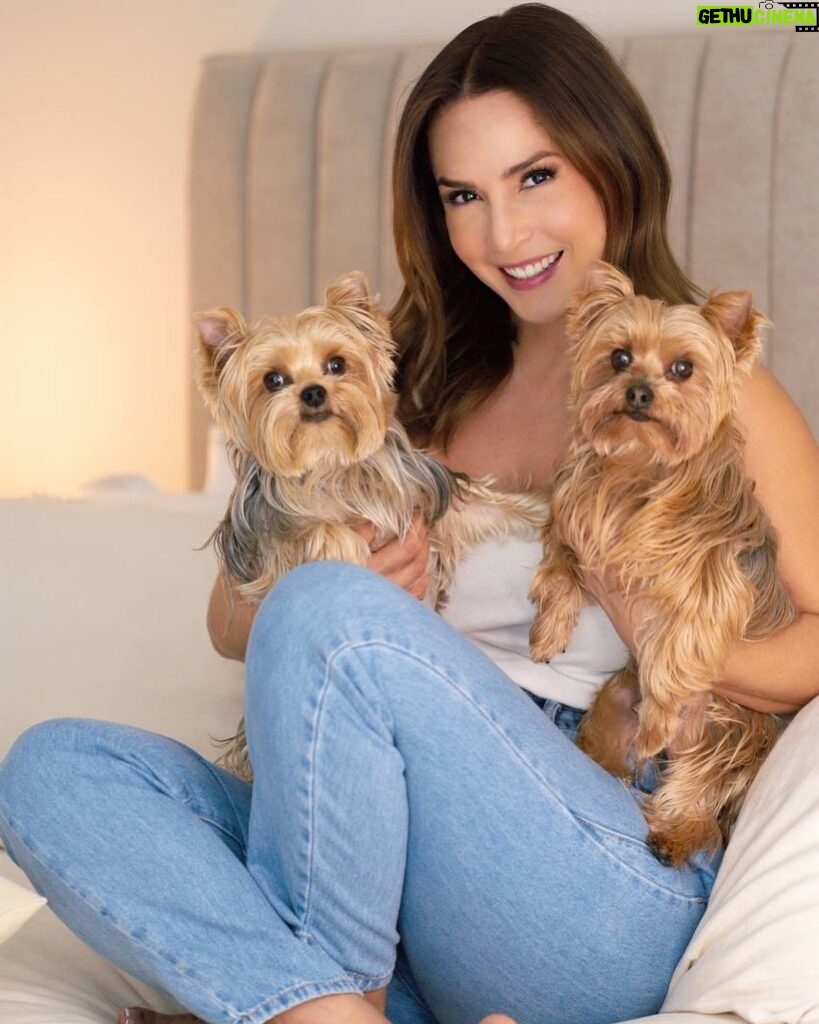 Carmen Villalobos Instagram - Feliz Lunes mi gente bonita 🤗! Por una semana repleta de cosas bonitas, de trabajo, de optimismo ... Yo feliz nuevamente en casita llena de mucho amor y muchos pelitos 🐶❤️