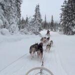Carola Häggkvist Instagram - Mitt enda sätt att skydda mig emot ’småspik i vågrät riktning’ i fjällvinden idag.. Familjetid med syrrans stora familj och så Amadeus & Zoe ute i friska luften uppe i vackra Lappland!! Omg. ’Tennis rackets’ på fötterna upp till hundspann, brasa och ’kolbullen’ - bland det godaste saltaste ’pannkakan’ med sidfläsk som jag nånsin ätit. Wow, så fint du ordnat för oss Magnus. ( Driftschef på Borgafjäll hotell.) #borgafjäll #lappland #juletid #skratt #motion #hundspann #fjället #borgafjällhotell @borgafjallhotell Sista videon trillade jag omkull.. #lätthes #återhämtning .. Borgasjön, Lappland