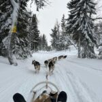 Carola Häggkvist Instagram - Mitt enda sätt att skydda mig emot ’småspik i vågrät riktning’ i fjällvinden idag.. Familjetid med syrrans stora familj och så Amadeus & Zoe ute i friska luften uppe i vackra Lappland!! Omg. ’Tennis rackets’ på fötterna upp till hundspann, brasa och ’kolbullen’ - bland det godaste saltaste ’pannkakan’ med sidfläsk som jag nånsin ätit. Wow, så fint du ordnat för oss Magnus. ( Driftschef på Borgafjäll hotell.) #borgafjäll #lappland #juletid #skratt #motion #hundspann #fjället #borgafjällhotell @borgafjallhotell Sista videon trillade jag omkull.. #lätthes #återhämtning .. Borgasjön, Lappland