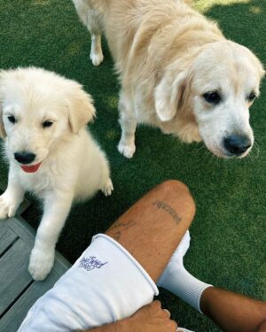 Caroline Receveur Instagram - My boys! 🥹
Welcome home Yashutuyashu 🐶🦴🥷🤍