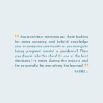Carson Meyer Instagram - The last virtual Prenatal Growing Together Circle of 2021 starts September 1st ✨ Join me and a group of mamas-to-be for a 12 week birth preparation course that explores healthy pregnancy , postpartum care and everything in between. This circle is a wonderful way to connect with new parents and build a loving community of support ✨ Photo of beautiful friend @kat.villain & Plum