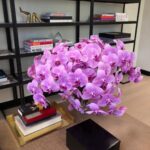 Casey Patterson Instagram - Lovely and amazing... thank you @zezeflowers