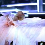 Casey Patterson Instagram - And to all a good night #ladygaga #grammys