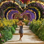 Catarina Jacob Instagram - Life is the flower for wich love is the honey. So live and love at the fullest. Dubai Miracle Garden