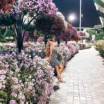 Catarina Jacob Instagram - Tal como as flores, nós também temos várias fases, e o mais importante nisso é, saber apreciar as fases boas e aprender com as más! #ficaadica