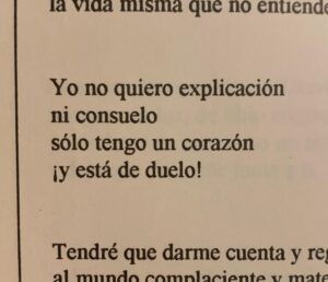 Cecilia Milone Instagram - Chau, Miki.💔 #ChicoNovarroQEPD 🙏🏻
Con tus propias palabras…
Con tu propio bolero…
#ElPedestal