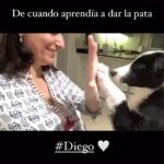 Cecilia Milone Instagram - #Perro y #Persona 😃🐾 #2021