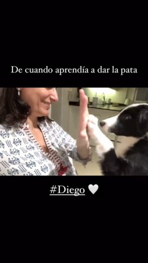 Cecilia Milone Instagram - #Perro y #Persona 😃🐾
#2021