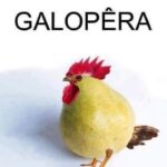 Celso Portiolli Instagram - 😂😂😂😂Escreve aí Galopeeeeeeeeeeeeeeeeeeeira
