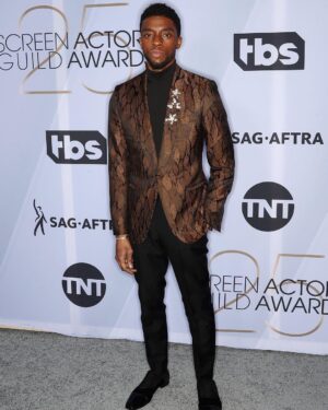 Chadwick Boseman Instagram - “To be young, gifted and black…” There is a place for us. There is a screen for us. Thank you to SAG-AFRTA for the appreciation and celebration of our work. #BlackPanther #SAGAwards