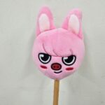 Changbin Instagram - 행복했고ㅎㅎ 돼끼야 고생했다🐖🐇 #돔투어