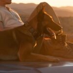 Channing Tatum Instagram - This process of making @dogthefilm has been one of the craziest journeys of my life! Also, if you would enjoy watching me get bit by a dog, this will be a very fulfilling and funny movie for you.