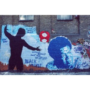 Charles Bradley Instagram - The final #BlackVelvet murals are up in Los Angeles, London and New Zealand.
Continue to share your photos with the tag #CharlesBradleyForever to be featured on our mural page and entered to win an exclusive Charles Bradley gift package (winner will be notified this Friday) - dapt.one/CBforever

LA: Dust Studios - 920 N Formosa Ave

London: Buxton Street

NZ: 23 Waitoa Road, Hataitai, Wellington

#screamingeagleofsoul #charlesbradley #daptonerecords #dunhamrecords #daptone @kishabari @thejoemiller