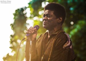 Charles Bradley Instagram - Another beautiful weekend of beautiful shows for beautiful people! 💐🌼🌸