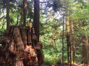Charles Melton Instagram - It’s crazy to think this tree stump is 600 years old but still provides a home for life & a urinal.