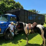 Charles Oliveira Instagram - Dia de boiadeiro na fazenda oliveira @stud.oliveira