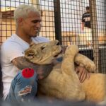 Charles Oliveira Instagram - Leões entre leões 🦁 o leão mesmo ferido continua sendo um leão 🦁 na real o leão quando está ferido ele sai quieto na dele e volta muito melhor 🙏🍀🙌 Lions among lions 🦁 even when the lion is injured, it remains a lion 🦁 in reality, when the lion is injured, he leaves quietly and comes back stronger 🙏🍀🙌