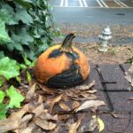 Charlie Heaton Instagram - Sad pumpkin, Halloween is over!