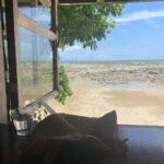 Charlize Lamb Instagram - Mini skirt and Birkenstocks