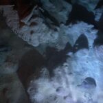 Charlize Lamb Instagram - 漣漪🫧Gyokusendo Cave
