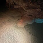 Charlize Lamb Instagram - 漣漪🫧Gyokusendo Cave
