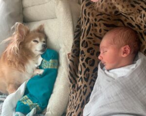 Cherie Jimenez Instagram - Simba 🦁 ➕ Phoenix ☀️🔥