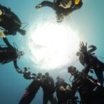 Chermarn Boonyasak Instagram - The ocean is full of surprises let’s explore!! @diveteam_th #maldives #scubadiving 🪼🐠🐳🐬🐋🐡🦑🐙 Maldives, Indian Ocean