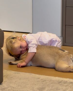 Chiara Ferragni Instagram - Tutto quello che volevo dirti te l’ho detto all’orecchio in questi giorni, ma tanto tu già sapevi tutto.
In questi tredici anni insieme sei stata la mia bambina ed allo stesso tempo la mia amica pronta a farmi sempre compagnia e a farmi sentire amata quando più ne avevo bisogno. Mi bastava abbracciarti e sentire il tuo profumo per sentirmi a casa perchè è proprio quello che sei stata sempre: la mia famiglia. E hai fatto anche di più, hai “creato” quella che è la nostra famiglia: eri tu “il cane di Chiara Ferragni” di quella canzone che mi ha fatto conoscere il papà nel 2016. Ci pensi se non fossi stata la mia Matildona come poteva essere diversa la mia vita? 
Quando ti ho scelta, ancora ragazzina, mai avrei pensato che avresti conosciuto i miei bambini, ed invece sei stata stupenda anche nel ruolo di “sorella maggiore”: hai regalato loro l’esperienza di amore incondizionato verso un animale che diventa famiglia. 
Ieri, dopo averti salutata per l’ultima volta ho provato a spiegare a Leo che eri andata in cielo e ci avresti sempre protetti da una nuvoletta lassù. E lui mi ha chiesto come potevamo riconoscere la nuvola perchè cosi potevamo salutarti sempre anche noi. 
Spero di averti fatto vivere una bella vita e di averti fatto sentire il mio amore ogni giorno, perchè io il tuo l’ho sentio sempre. Mi mancherà tutto di te Mati, ti saluterò ogni giorno su quella nuvoletta. 
Sarai per sempre la mia prima bimba 💖