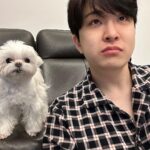 Choi Young-jae Instagram - 밥 먹을때 상추 안주면 화내는 강아지 @b_ftaq