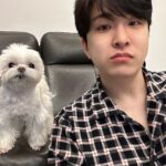 Choi Young-jae Instagram - 밥 먹을때 상추 안주면 화내는 강아지 @b_ftaq