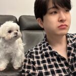 Choi Young-jae Instagram - 밥 먹을때 상추 안주면 화내는 강아지 @b_ftaq