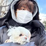Choi Young-jae Instagram - 너도 많이 춥구나… @b_ftaq