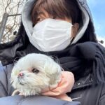 Choi Young-jae Instagram - 너도 많이 춥구나… @b_ftaq
