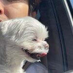Choi Young-jae Instagram - 10장 꽉채우기📸