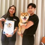 Chris Chiu Instagram - 恭喜我們的Momo醬順利畢業啦！ 從幼犬時期開始上課到現在，感謝將近一年半的日子裡有@犬研室的陪伴，從剛開始大小便訓練、幼犬社會化黃金時期，到青少年後的響片思考、才藝訓練等，看到Momo醬越來越乖越穩定甚至是學會了動腦思考，內心真的滿是欣慰。 狗狗正向訓練，不只能讓狗狗身心健康成長、培養思考能力、情緒穩定不浮燥，也能讓主人擁有更輕鬆有效的方式陪伴狗狗。 良好的狗狗飼養觀念一直是犬研室教導給我的，讓我學習到許多正確觀念，來陪伴Momo醬的每一天，真的如之前所說過的「沒有教不會的狗狗，只有教不會的人！」 現在Momo醬已經是成熟穩定的乖狗狗了，除了我跟Momo醬的認真努力之外，也真心感謝犬研室團隊及小夜老師的協助，相信我們的未來會是非常融洽且快樂的❤️ @the_doggy_lab @hsieh_fraya @momojiang1010