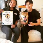 Chris Chiu Instagram - 恭喜我們的Momo醬順利畢業啦！ 從幼犬時期開始上課到現在，感謝將近一年半的日子裡有@犬研室的陪伴，從剛開始大小便訓練、幼犬社會化黃金時期，到青少年後的響片思考、才藝訓練等，看到Momo醬越來越乖越穩定甚至是學會了動腦思考，內心真的滿是欣慰。 狗狗正向訓練，不只能讓狗狗身心健康成長、培養思考能力、情緒穩定不浮燥，也能讓主人擁有更輕鬆有效的方式陪伴狗狗。 良好的狗狗飼養觀念一直是犬研室教導給我的，讓我學習到許多正確觀念，來陪伴Momo醬的每一天，真的如之前所說過的「沒有教不會的狗狗，只有教不會的人！」 現在Momo醬已經是成熟穩定的乖狗狗了，除了我跟Momo醬的認真努力之外，也真心感謝犬研室團隊及小夜老師的協助，相信我們的未來會是非常融洽且快樂的❤️ @the_doggy_lab @hsieh_fraya @momojiang1010