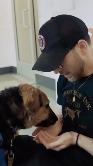 Chris Evans Instagram - Hi everyone! I’m back :)
I’m thankful for a LOT of things this year, but dogs are always high on the list. So glad to hear that these dogs got adopted, and that we were able to set them up with a year’s worth of @thinkjinx food and treats.

Happy thanksgiving everyone!
