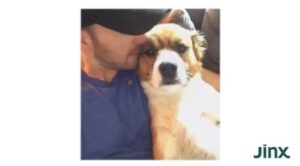 Chris Evans Instagram - Winning the dog lottery 💙

#partneredwithjinx 
@thinkjinx 
@walmart