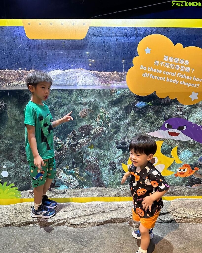 Chris Lai Instagram - 好多人都話冇見過小冬牛 小冬牛就快2歲啦 @hkoceanpark #oceanparkhongkong #小冬牛