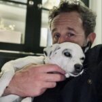 Chris O'Dowd Instagram - Genuinely think this gorgeous fucker has magical powers. #happyDogsDay #Spuddy