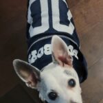 Christine Nguyen Instagram - #Cowboys are having such a great game, I had to put her jersey on. 🩵🏈💙