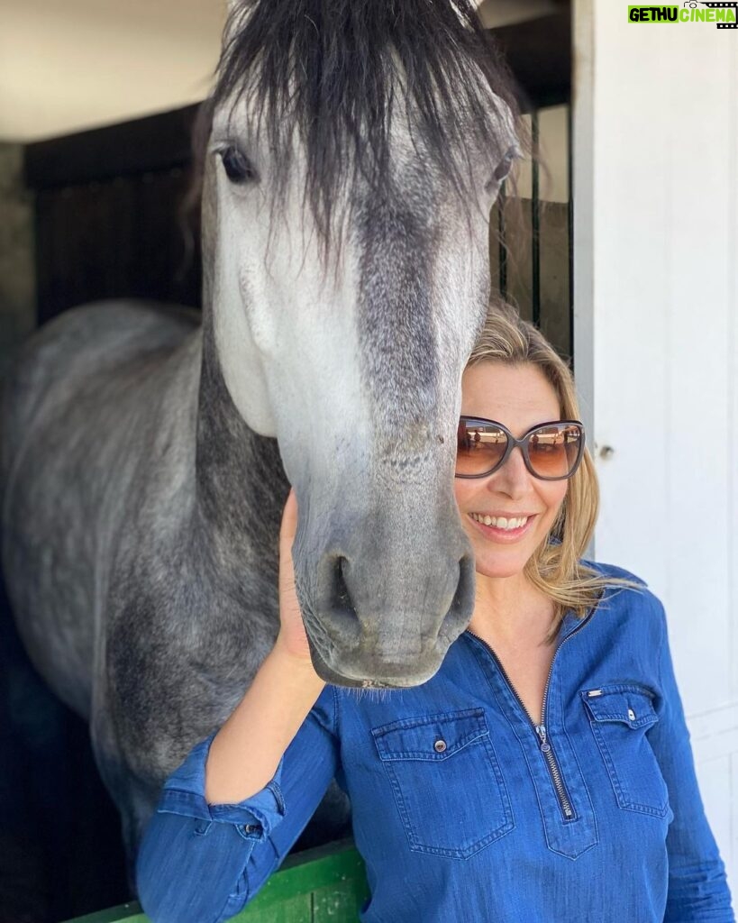 Clara de Sousa Instagram - Almoço de amigos encerrado com uma visita às cavalariças. Aqui, com o Nobel, um puro sangue lusitano, um cavalo lindo, com um porte único! #psl #purosanguelusitano #quintadafigueira #algueirao Quinta da Figueira