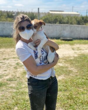 Clara de Sousa Instagram - A família cresceu. 
Hoje fui ter com o meu amigo Rui que dedica a vida a resgatar animais para ir buscar a Mia, que com os seus dois meses tem uma imensidão de ternura 😍 e energia também 😅💥 Ela e os irmãos, todos tão lindos, malhadinhos, 🐶carimbaram-me bem as calças com a alegria com que me receberam esta manhã. 😂 🐕 
E a encostar a cabecinha... 😊que amor!!! 💓 
#adotenaocompre #adoteumcao #adoteumanimalderua