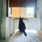 Claudia Gusmano Instagram - ❤️ Menta e i pensieri belli