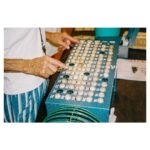 Cole Sprouse Instagram - Thatsa bingo