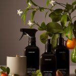Courteney Cox Instagram - So excited to introduce @homecourt’s new limited-edition Mandarin Basile collection. Its fresh and light with notes of sparkling mandarin, fresh basil leaves, fig and spiced ginger. I hope you love it!